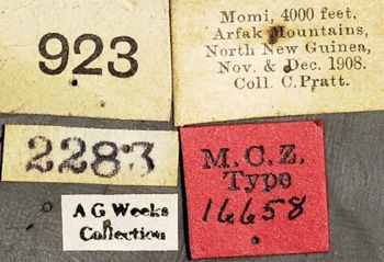 Media type: image;   Entomology 16658 Aspect: labels